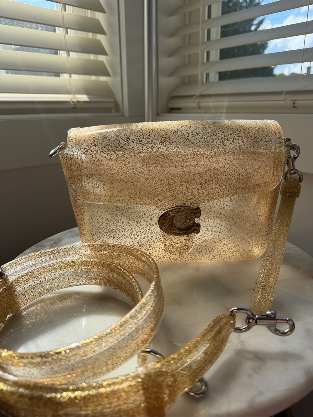 NWOT Coach Jelly Tabby Bag